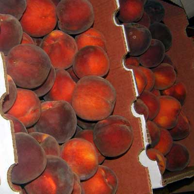 Peaches