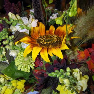 Farmers Market Flowers