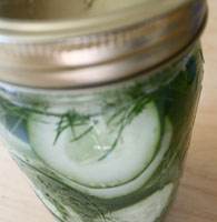 pickles1
