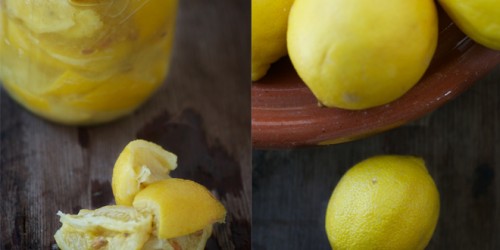 fermentedlemons fermentedlemons