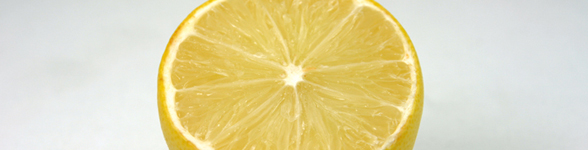 slice lemon center slice lemon center