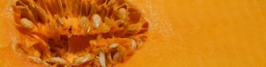 squash squash
