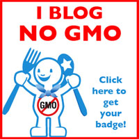 iblognogmo200