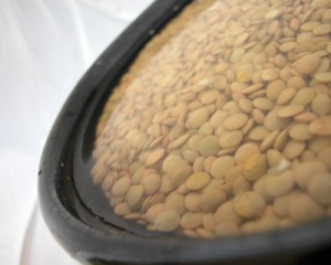 soaked-lentils