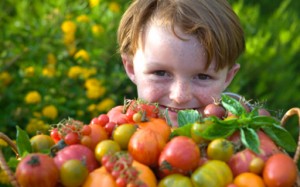 kidfood