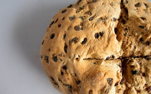 brown soda bread brown soda bread with caraway and currants