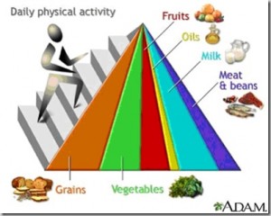 foodpyramid-thumb