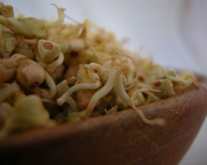 sprouted grain - buckwheat