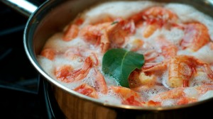 boiledshrimp