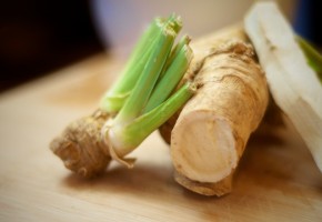 fresh horseradish root fresh horseradish root