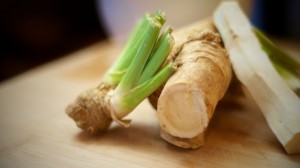 fresh horseradish root fresh horseradish root