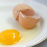 pasturedeggs pasturedeggs