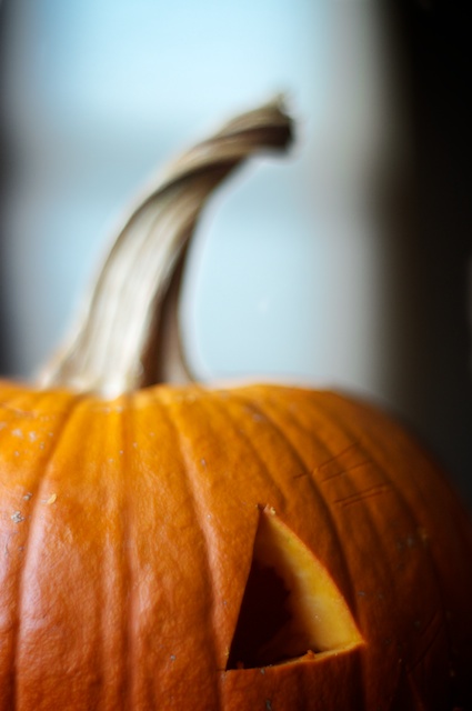 jackolantern1