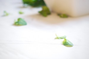 strawberry mint sorbet 008