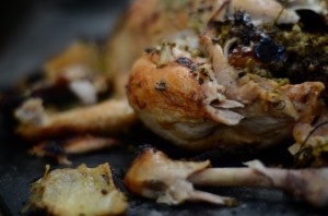 campfire roast chicken 017 (1) campfire roast chicken 017 (1)