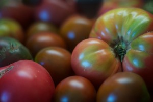 heirloom tomatoes 047