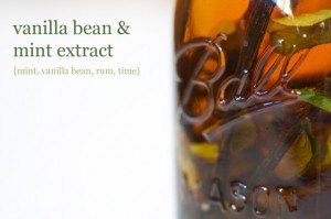 vanilla-mint-extract-recipe