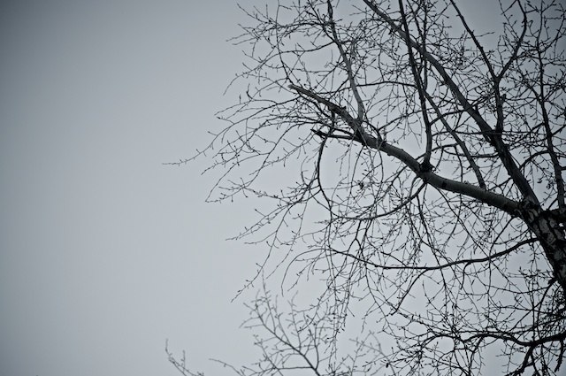 november sky 050