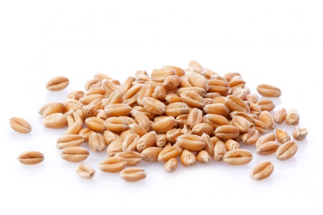 iStock_000014019441Small grains