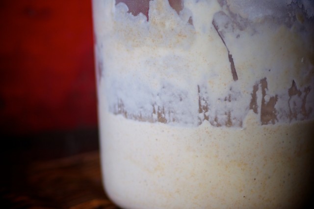 sourdough featured sourdough featured