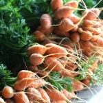 photos A Story of Recovery (and a Recipe for Grain-free Carrot Cupcakes with Honey Cream Cheese Frosting)