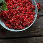 red currants for pie