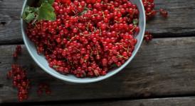 red currants for pie