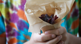 beef jerky