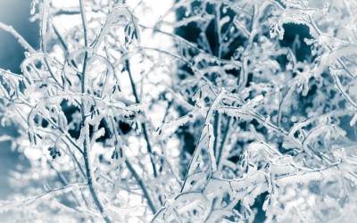 icebythe river (1 of 1)