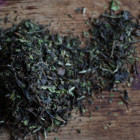 tea for continuous brew kombucha