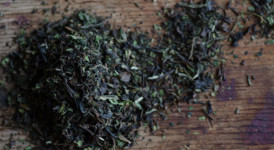 tea for continuous brew kombucha