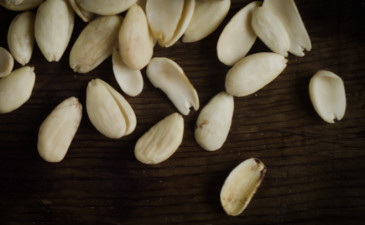 almonds bloh (1 of 1)