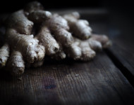 Ginger Bug