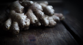 Ginger Bug