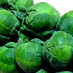 brussels sprouts on the stalk