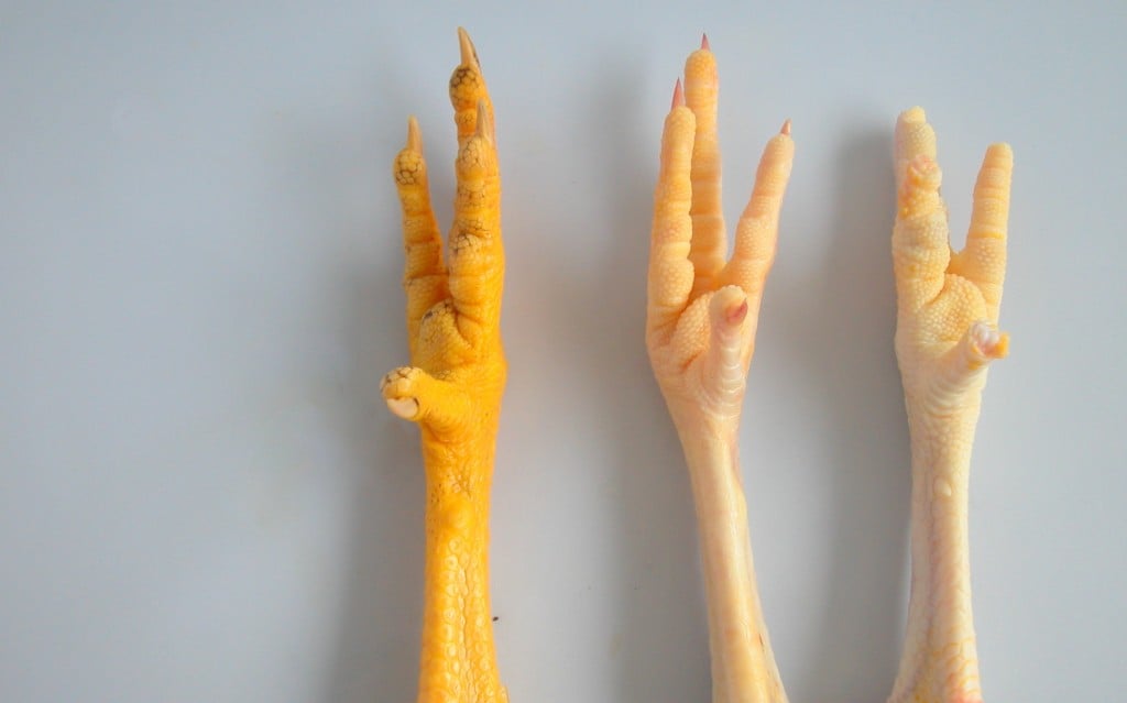 3chickenfeet