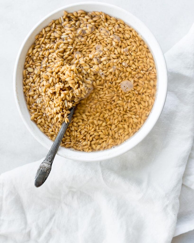 Einkorn wheat berries soaking in a white bowl