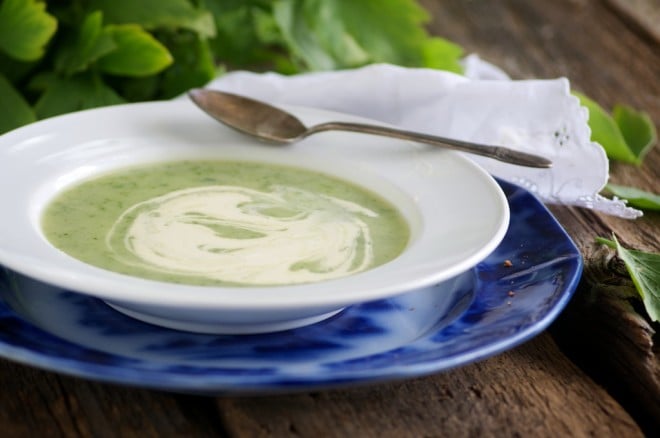 Lovage Soup: one of my favorte soups for spring.