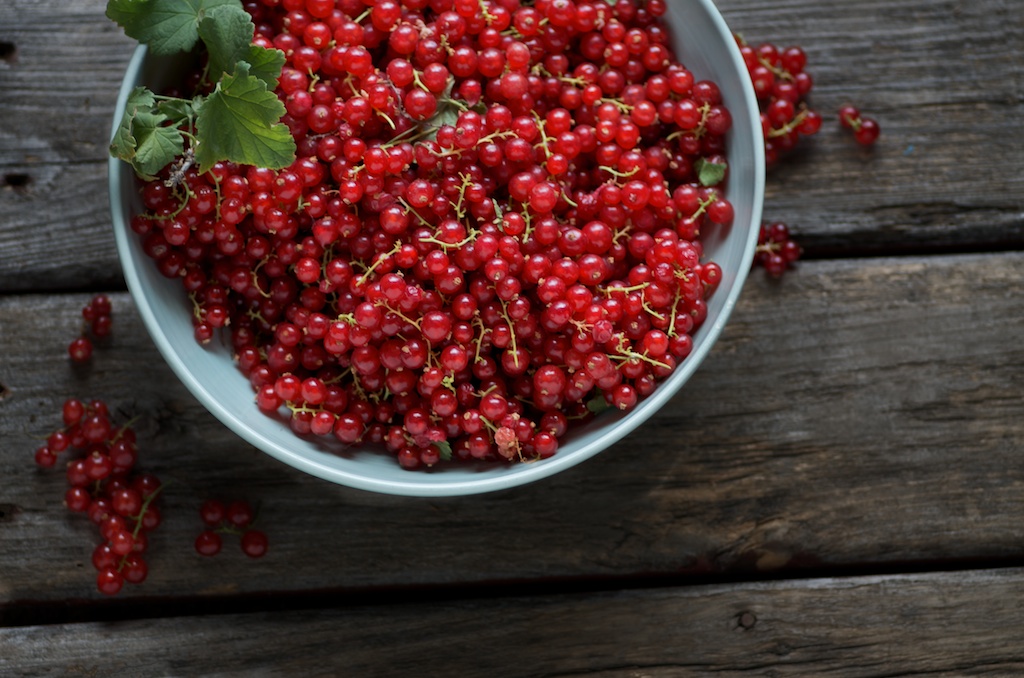 currants-bright