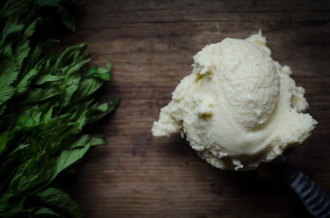 Vanilla Mint Ice Cream