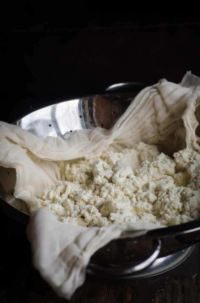 How to Make Farm Cheese