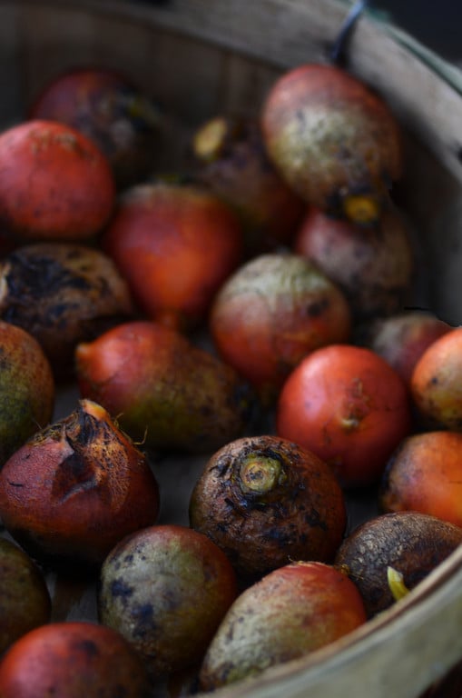 red beets