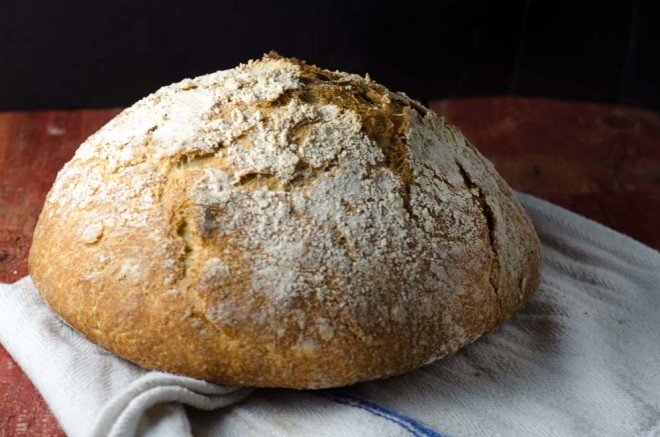 Our Daily Bread: Whole Grain, No-Knead Sourdough ...