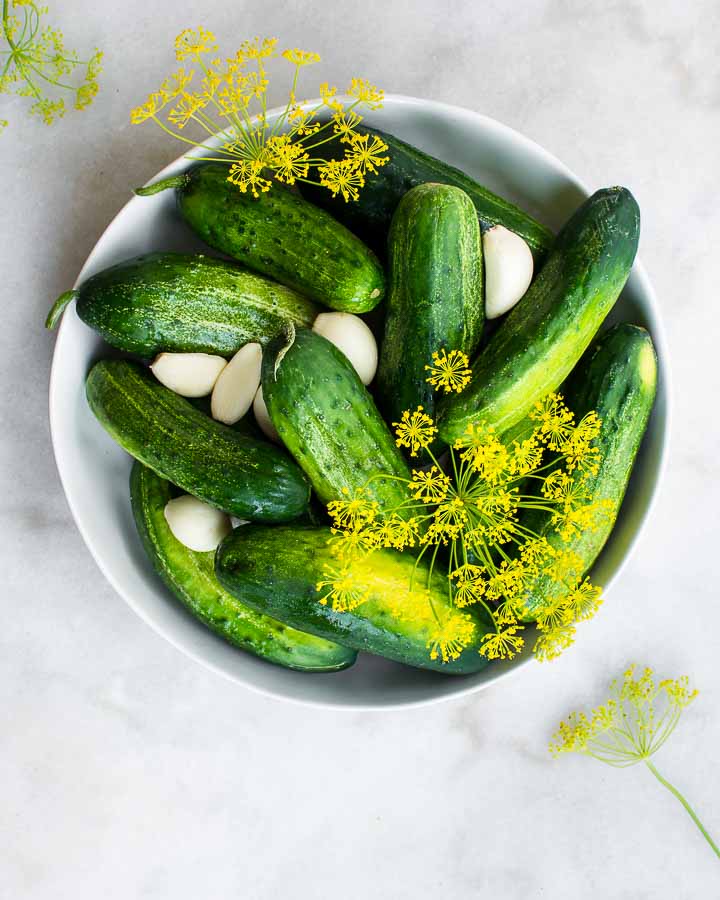 Pickling cucumbers in a white bowl with garlic and flowering dill.