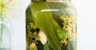 sour dill pickles in a jar