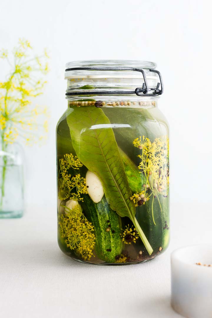 sour dill pickles in a jar