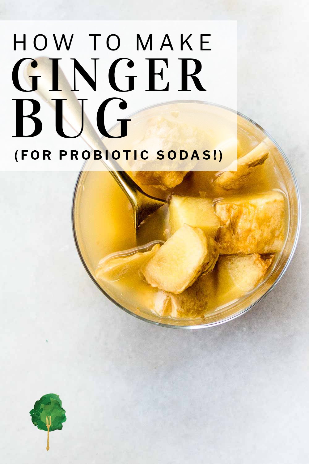 Ginger Bug for Making Homemade Fermented Sodas Nourished Kitchen