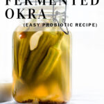 Pinterest pin fermented okra