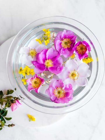 wild roses on a plate