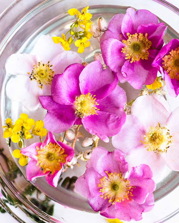 Rose blossoms, salal and mustard flowers infusing in a bowlful of spring water.